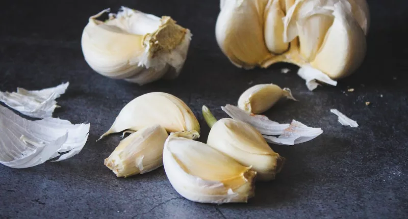 What Are The Health Benefits Of Garlic? How To Harness Its Healing Power?