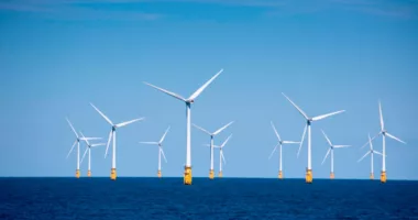 43 Companies to Compete For Five California Offshore Wind Leases