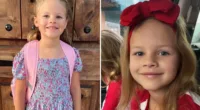 7 Years Athena Strand Kidnapped And Killed By FedEx Driver- Who Is The Driver Tanner Horner?