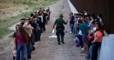 Border Patrol agent dies after crashing in migrant pursuit