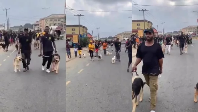 "Na why Buhari no get our time" — Reactions trail dog carnival in Port Harcourt (Video)