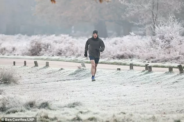 Frost covers the landscape in Richmond Park in London today as temperatures in the capital dip below freezing overnight