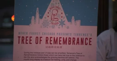 Tree of Remembrance 2022 outside Daley Center honors over 2K victims of Chicago violence