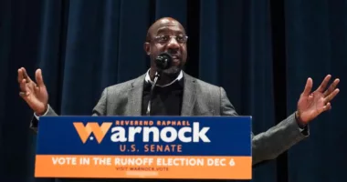 What does Warnock win mean for Georgia Dems?