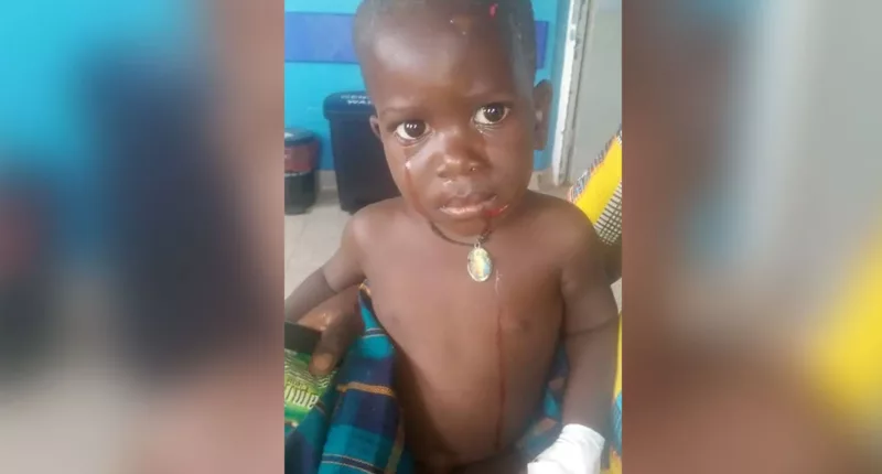 Two-Years-Old Boy Swallowed And Spat Out Alive By Hippopotamus- What Happened?
