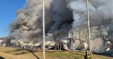 100,000 Chickens Feared Lost After Fire Devastates Massive Egg Farm in Connecticut
