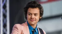 Who Is Harry Styles? Wikipedia, Parents, Siblings, Wife, Children And Net Worth 2023