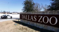 Dallas Zoo reports 2 monkeys missing, believed 'taken'