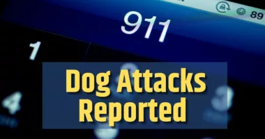 Dog Attack on Highland Avenue