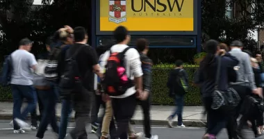 The UNSW student failed their course after submitting an exam essay that had been written by a chatbot