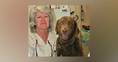 Alabama veterinarian shot during horse riding event; witness speaks out