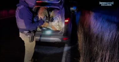 Americans aiding human smuggling effort along southern border