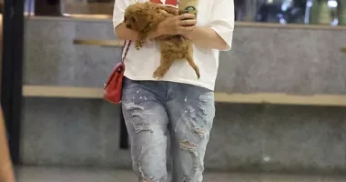 Jackie 'O' Henderson looks smitten as she cradles her new Cavoodle puppy while shopping in Bondi
