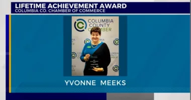 Meeks wins Lifetime Achievement Award