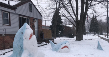 Michigan Art Teacher Goes Viral Making Shark Snow Sculptures