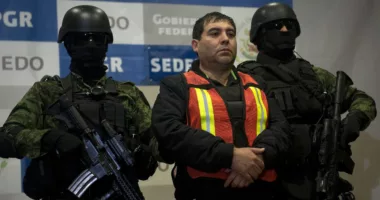 Sinaloa cartel member known as 'The Engineer' pleads guilty
