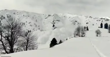 Horrifying footage shows a wall of snow roaring down a mountainside and towards the group of skiers, sending them running for safety