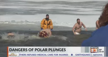 To plunge or not to plunge? Illinois medical expert weighs in