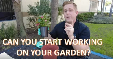 When can you start setting up your garden on the First Coast?