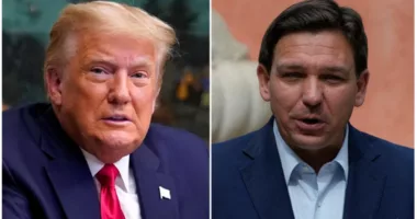 'Underage, possibly a man': Trump comments on DeSantis' sexuality as potential Stormy Daniels indictment looms