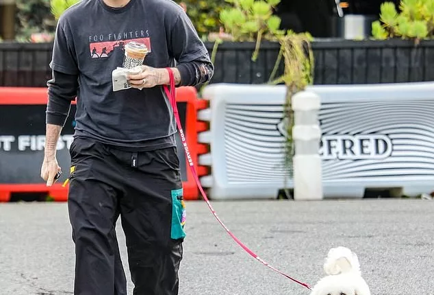 Brooklyn Beckham cuts a casual figure in a Foo Fighters T-shirt on a dog walk in LA