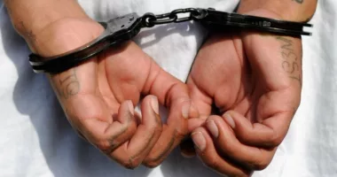 Drug ring tied to white supremacist prison gang, 24 arrested
