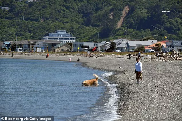 A passer-by made horrifying discovery at Petone Beach (pictured), in Wellington, at about 8am local time on Saturday