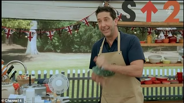 Charity: David Schwimmer competed on Celebrity Bake Off for Stand Up To Cancer on Sunday