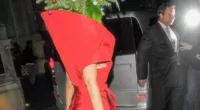 Wearing real fir: Lady Gaga returns to her hotel after the Jingle Bell Ball at London's O2 bizarrely dressed as a Christmas Tree