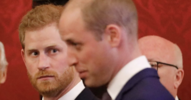 King Charles, Prince William: BOTH Avoiding Prince Harry During His Trip to London?