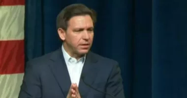 Looking at Ron DeSantis' time serving as a lawyer for the U.S. Navy in Guantanamo