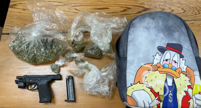 Man busted in Florida with stolen gun, half pound of weed in Scrooge McDuck backpack