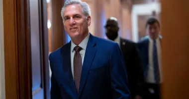 McCarthy Hilariously Offers 'Soft Food' Lunch to 80-Year-Old Biden in Exchange for Debt Ceiling Talks