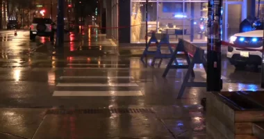 Pedestrian hit by car, killed in hit and run car crash in 800 block of West Washington Boulevard in West Loop, Chicago police say