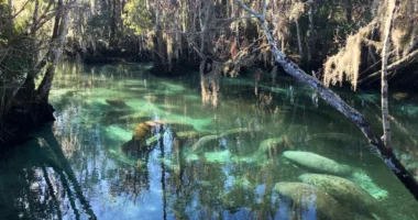 Three Sisters Springs to close for several months