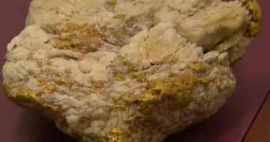 An amateur prospector unearthed a 4.6kilogram golden nugget worth $240,000 (pictured)