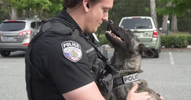 Video: APD announces new K-9 team with K-9 Leo donated by owner of Pepedogs