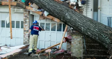 At least 11 dead as tornadoes batter the South and Midwest