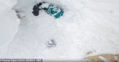 A skier stumbled upon a snowboarder buried in a tree well of snow in Washington State and was able to dig them out in a remarkable rescue caught on video
