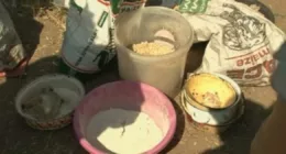 13 family members die after reportedly eating toxic porridge in Namibia