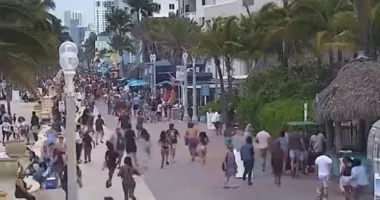 BREAKING: Chaos on Hollywood, Florida Beach as 9 Shot, Crowds Flee