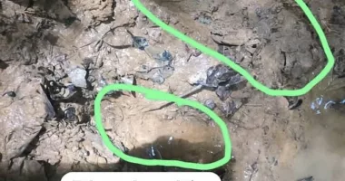 The latest hint about the children's possible whereabouts is a footprint found on the muddy ground in the jungle, that army officials believe is that of 13-year-old Lesly
