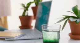 Is Taking Chlorophyll Water for a Hangover Effective?