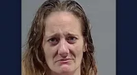 Kathleen Ann Taylor's dogs killed a man: Sheriff