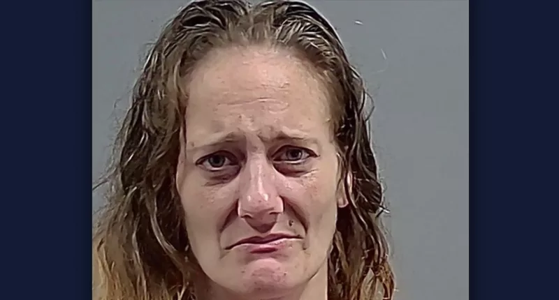 Kathleen Ann Taylor's dogs killed a man: Sheriff
