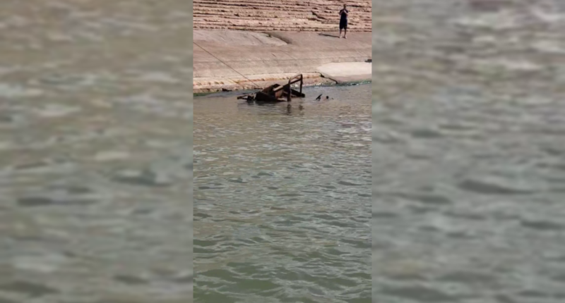Man catches more than fish at Kansas lake; fire department helps reel in a big one