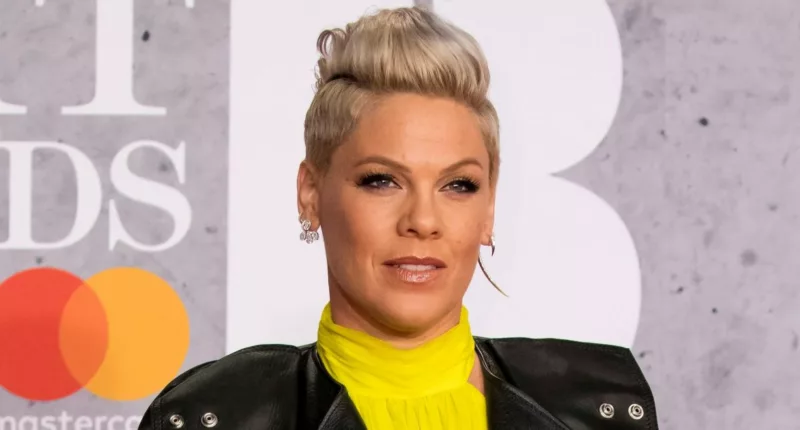 Pink Embraces Being an 'Embarrassing Mom' in Nude Photo