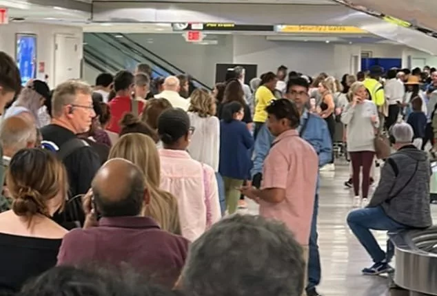 A Brit tweeted this photo and told United to sort out the baggage issues at Newark Airport