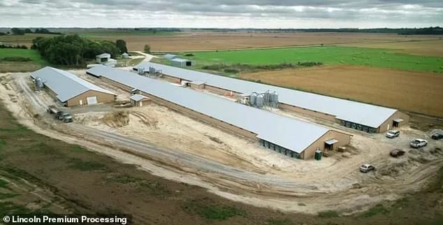 Costco has opened a vast chicken processing plant in Fremont, Nebraska - the only retailer to have its own meat facility