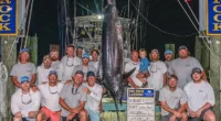 The crew of Sensation and their 619-pound blue marlin was pictured with their catch before they were disqualified from the tournament after it was noticed the fish had been mutilated